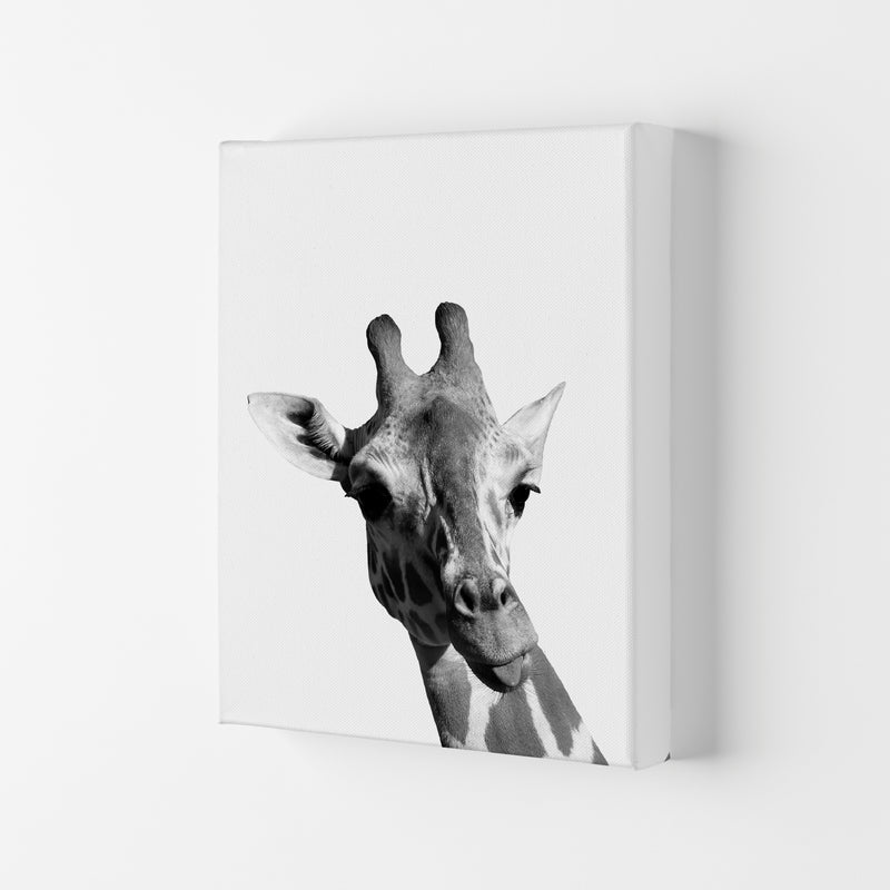 Black And White Giraffe Modern Print Animal Art Print Canvas
