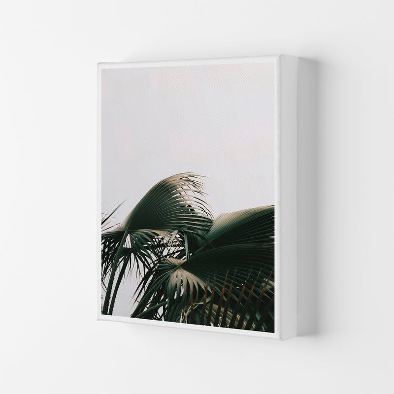 Bushy Palm Leaves Modern Print, Framed Botanical & Nature Art Print Canvas