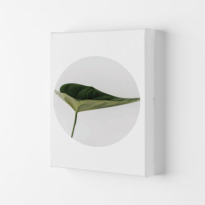 Doc Leaf Modern Print, Framed Botanical & Nature Art Print Canvas