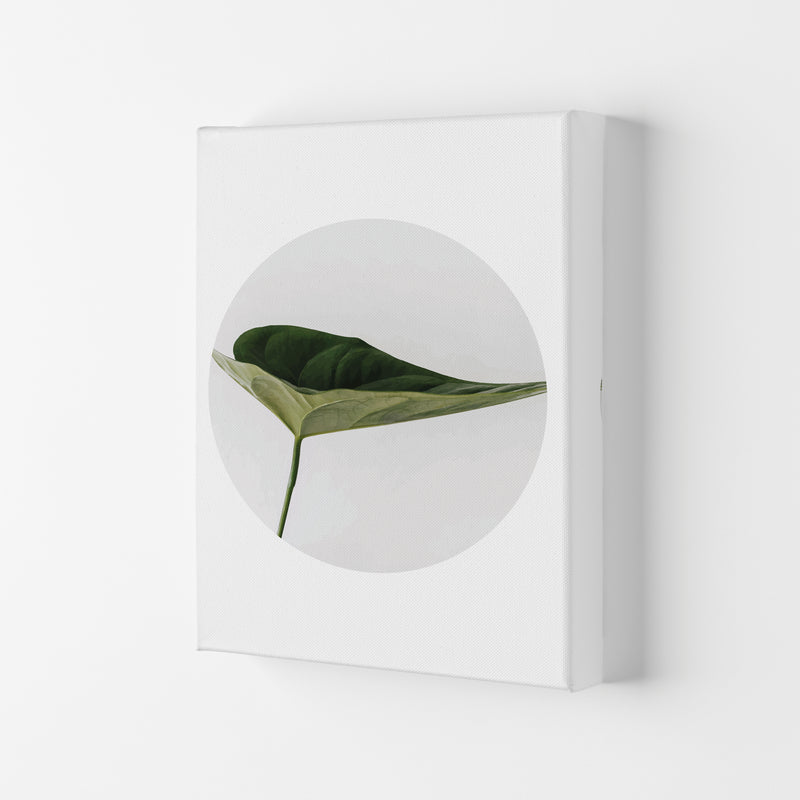 Doc Leaf Modern Print, Framed Botanical & Nature Art Print Canvas