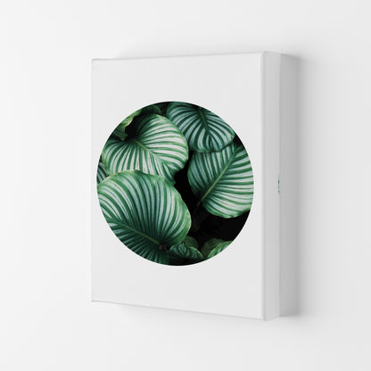 Green Leaves Circle Modern Print, Framed Botanical & Nature Art Print Canvas