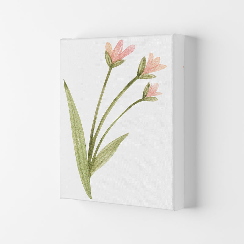 Pink Watercolour Flower 1 Modern Print Canvas