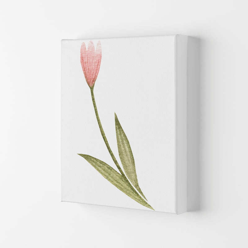 Pink Watercolour Flower 3 Modern Print Canvas