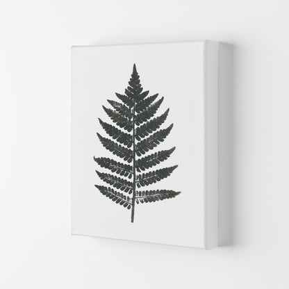 Vintage Fern Modern Print, Framed Botanical & Nature Art Print Canvas