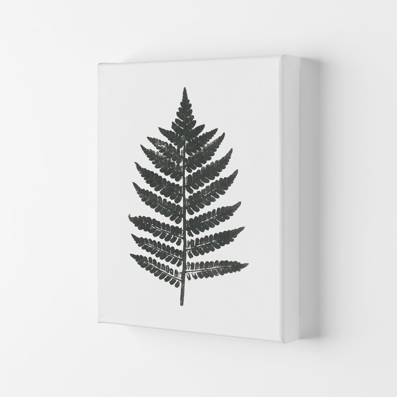 Vintage Fern Modern Print, Framed Botanical & Nature Art Print Canvas