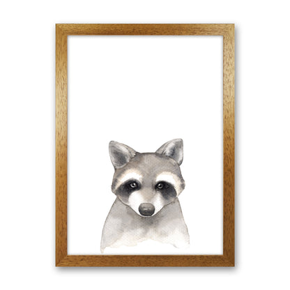 Forest Friends, Cute Raccoon Modern Print Animal Art Print Oak Grain