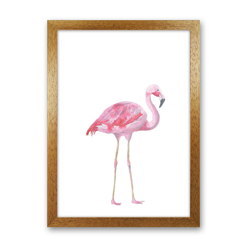 Pink Flamingo Modern Print Animal Art Print Oak Grain