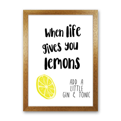 Humorous Gin Sayings Multi Set Kitchen Typography Wall Art Oak Grain
