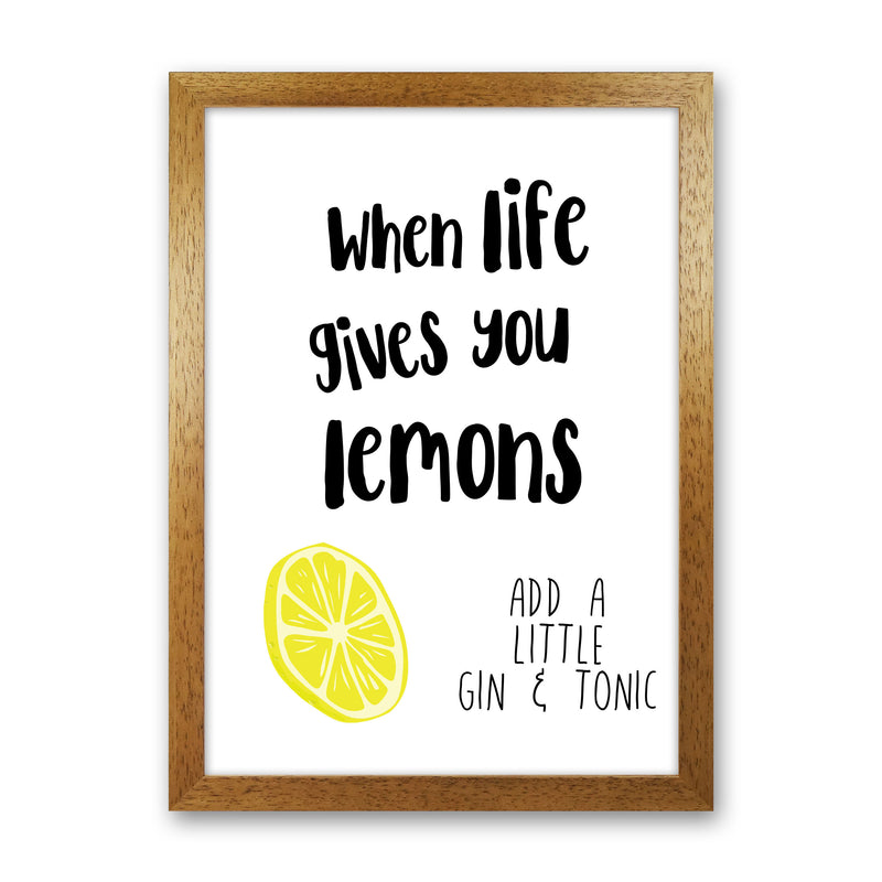 Humorous Gin Sayings Multi Set Kitchen Typography Wall Art Oak Grain