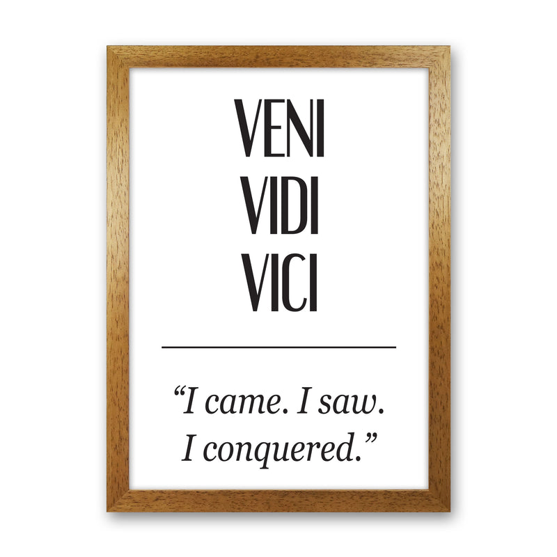 Veni Vidi Vici Modern Print Oak Grain