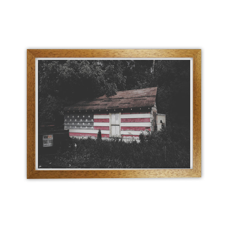 USA Hut Modern Print Oak Grain