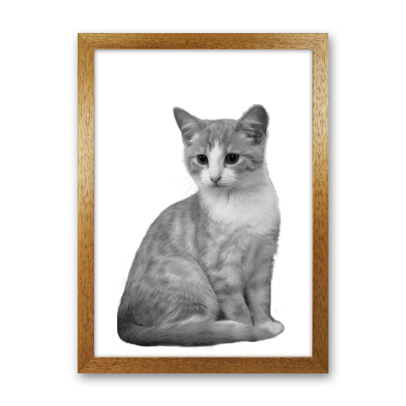 Black And White Cat Modern Print Animal Art Print Oak Grain