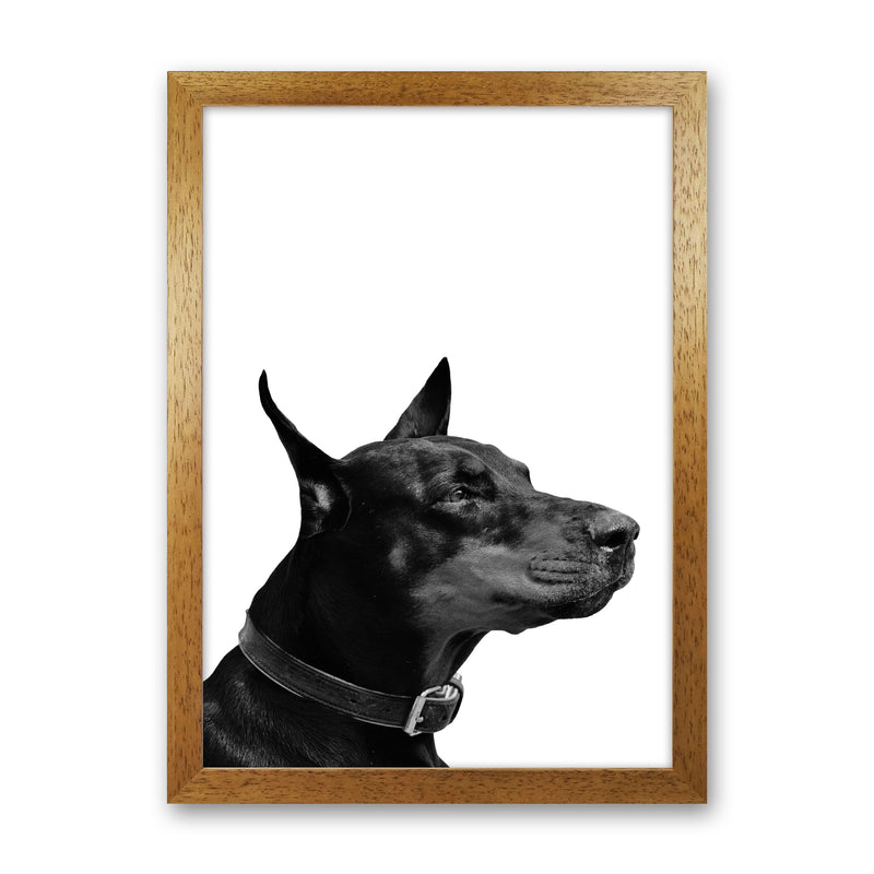 Black And White Dog Modern Print Animal Art Print Oak Grain