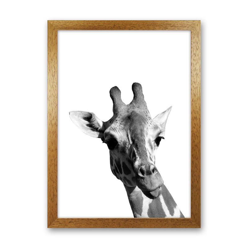 Black And White Giraffe Modern Print Animal Art Print Oak Grain