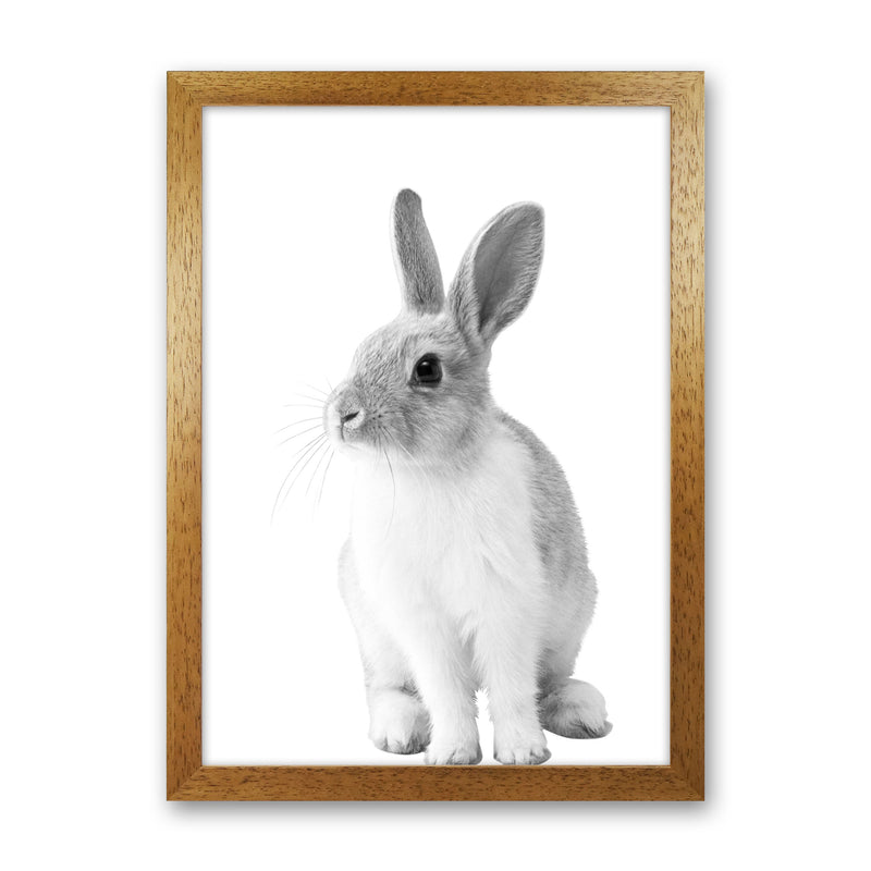 Black And White Bunny Modern Print Animal Art Print Oak Grain