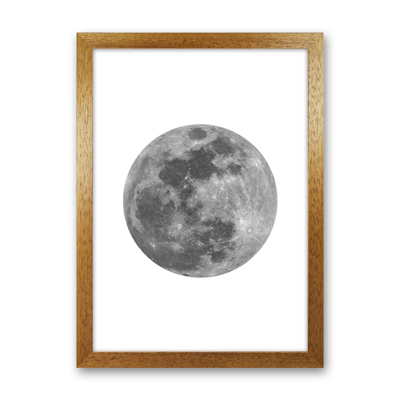 Grey Moon Modern Print Oak Grain