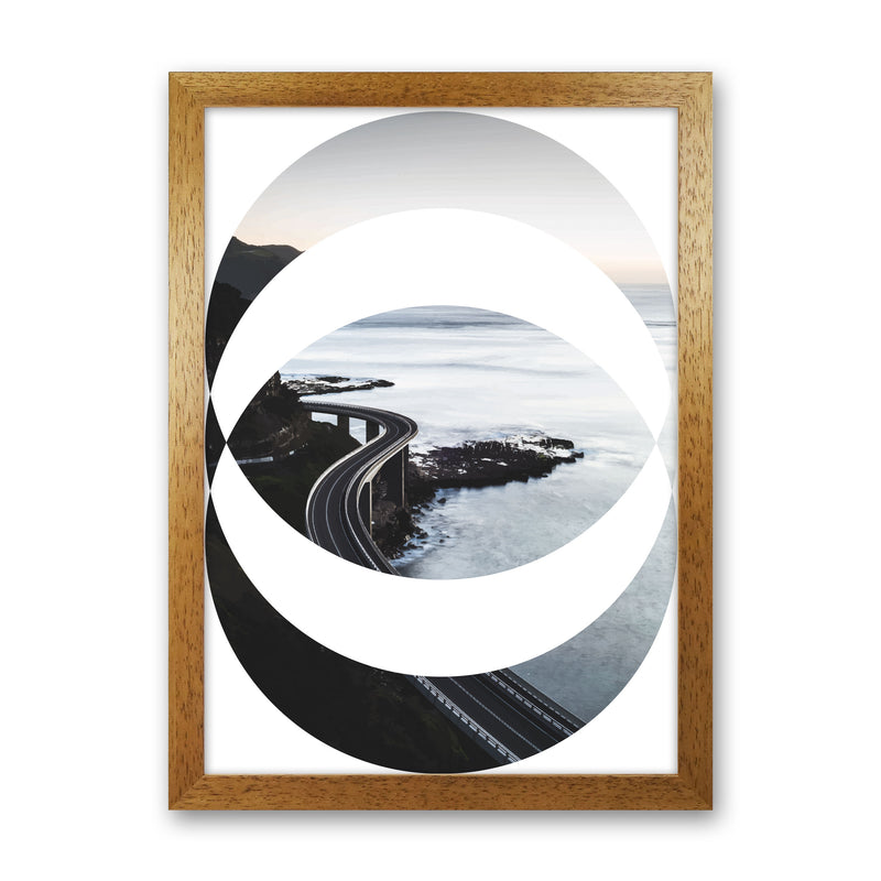 Black Road Oval Modern Print, Framed Botanical & Nature Art Print Oak Grain