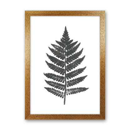 Vintage Fern Modern Print, Framed Botanical & Nature Art Print Oak Grain