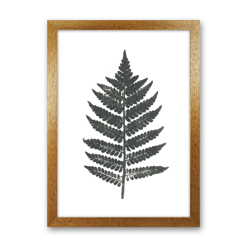 Vintage Fern Modern Print, Framed Botanical & Nature Art Print Oak Grain