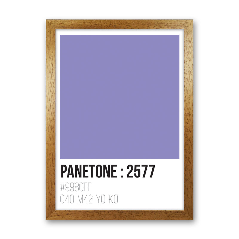 Panetone Colours 2577 Modern Print Oak Grain
