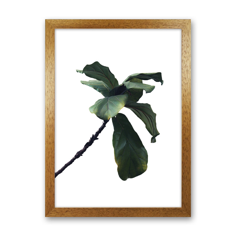 Plant Head Part Two  Art Print by Pixy Paper Oak Grain