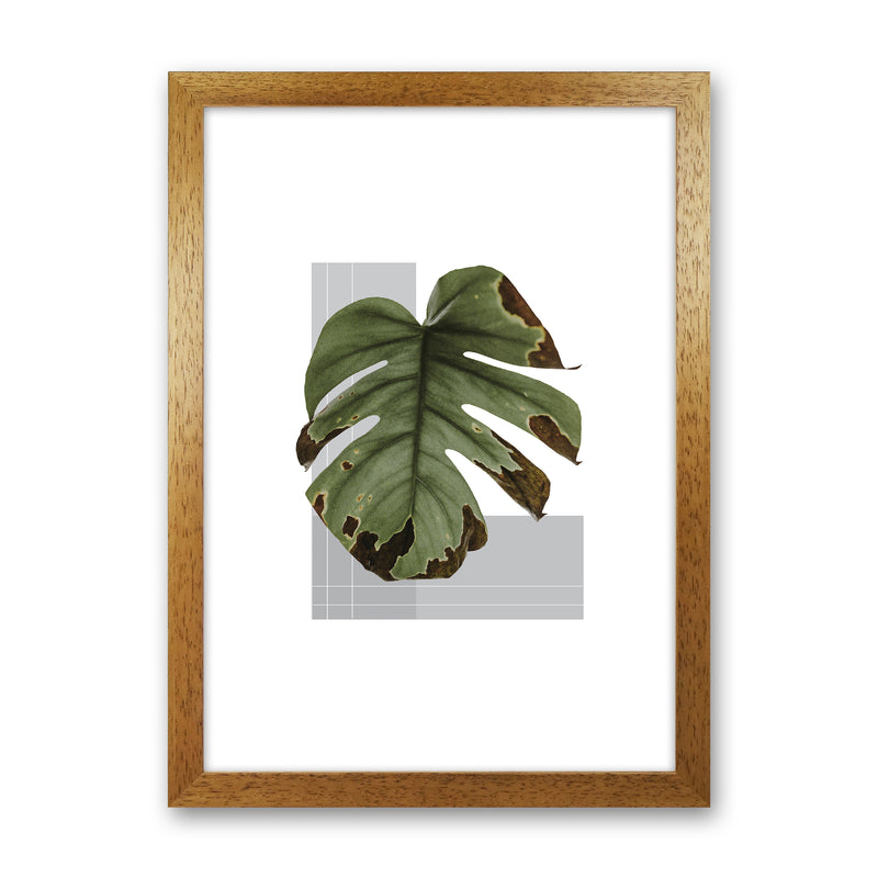 Green Leaf Grey  Art Print by Pixy Paper Oak Grain