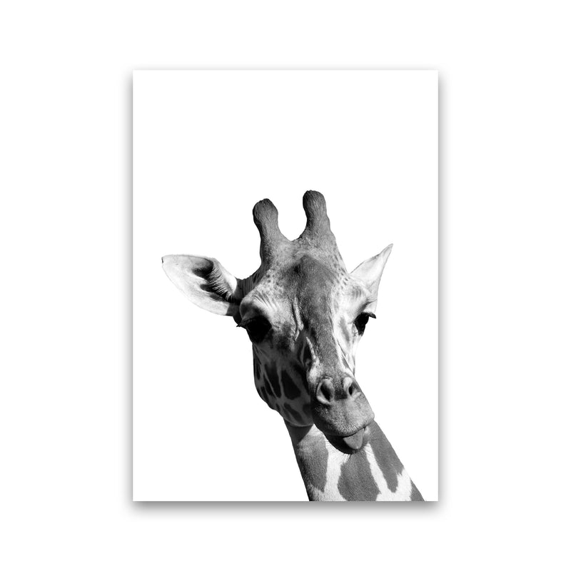 Black And White Giraffe Modern Print Animal Art Print Print Only