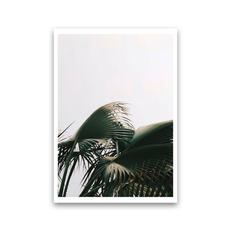 Bushy Palm Leaves Modern Print, Framed Botanical & Nature Art Print Print Only