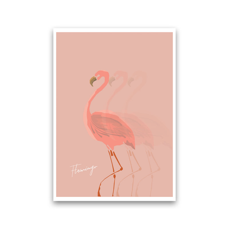 Flamingo Shadow Modern Print Animal Art Print Print Only