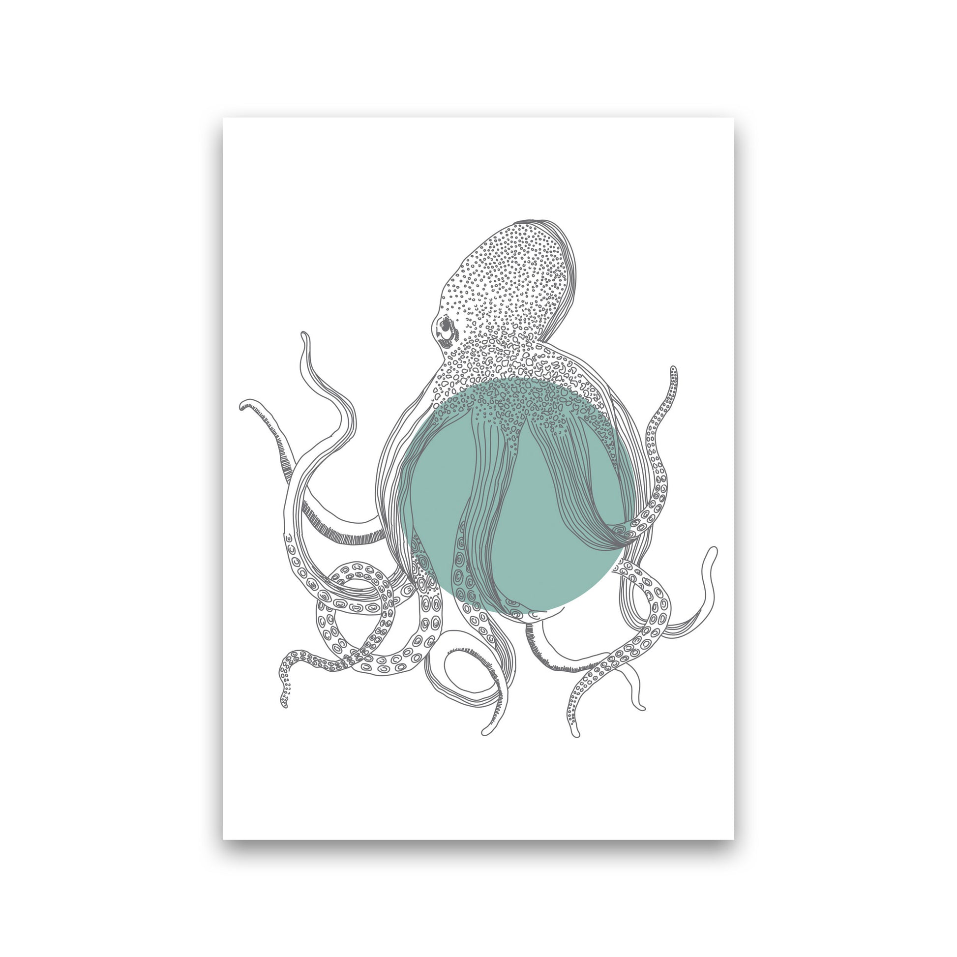 Marine Animals Octopus Modern Print Animal Art Print Print Only
