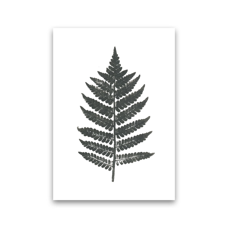 Vintage Fern Modern Print, Framed Botanical & Nature Art Print Print Only