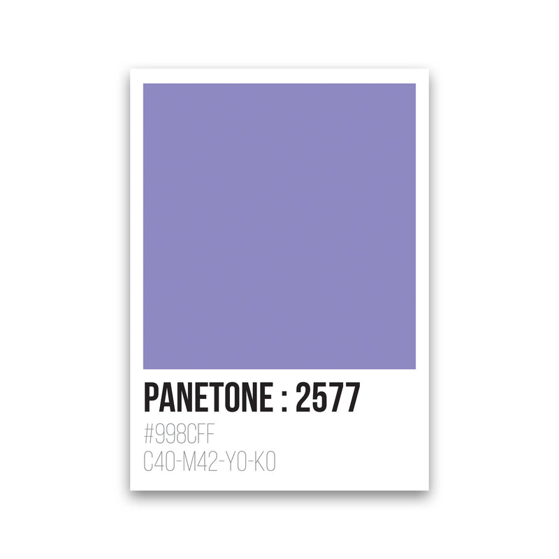 Panetone Colours 2577 Modern Print Print Only