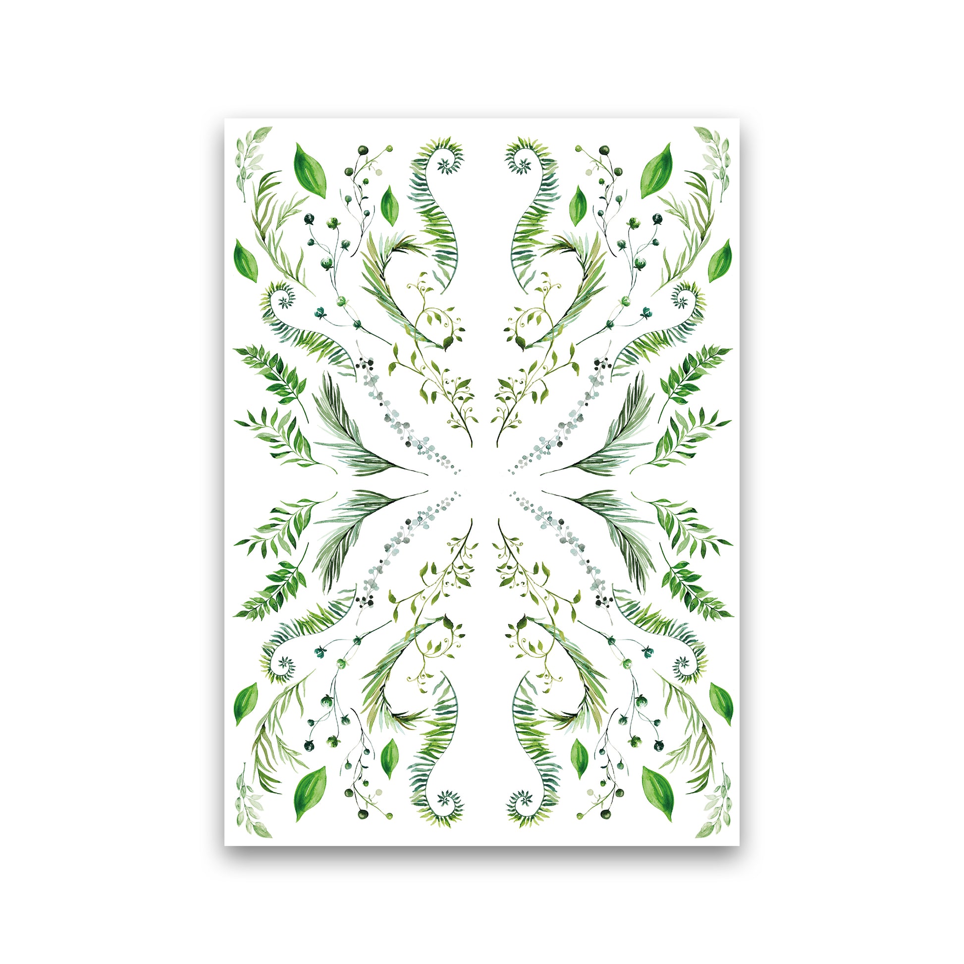 Mirrored Plants Exotic  Art Print by Pixy Paper Print Only