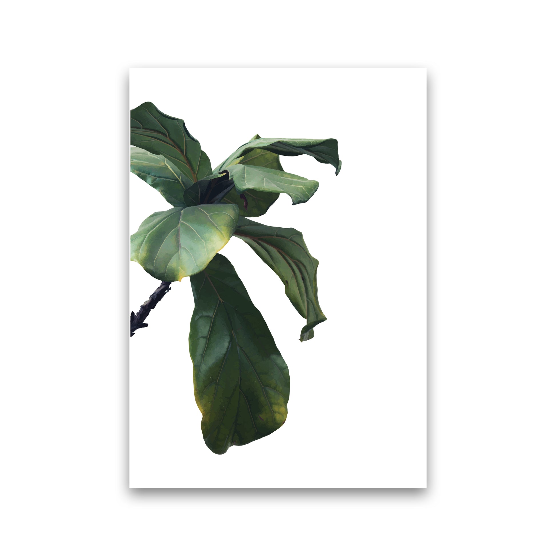 Plant Head Part One  Art Print by Pixy Paper Print Only