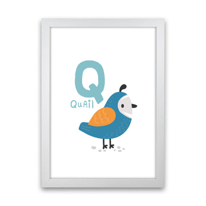 Alphabet Animals, Q Is For Quail Framed Nursey Wall Art Print White Grain