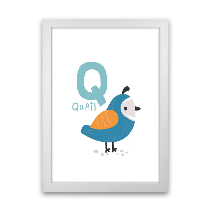 Alphabet Animals, Q Is For Quail Framed Nursey Wall Art Print White Grain