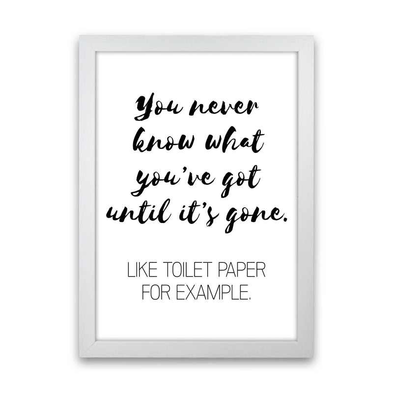 Toilet Paper, Bathroom Modern Print, Framed Bathroom Wall Art White Grain