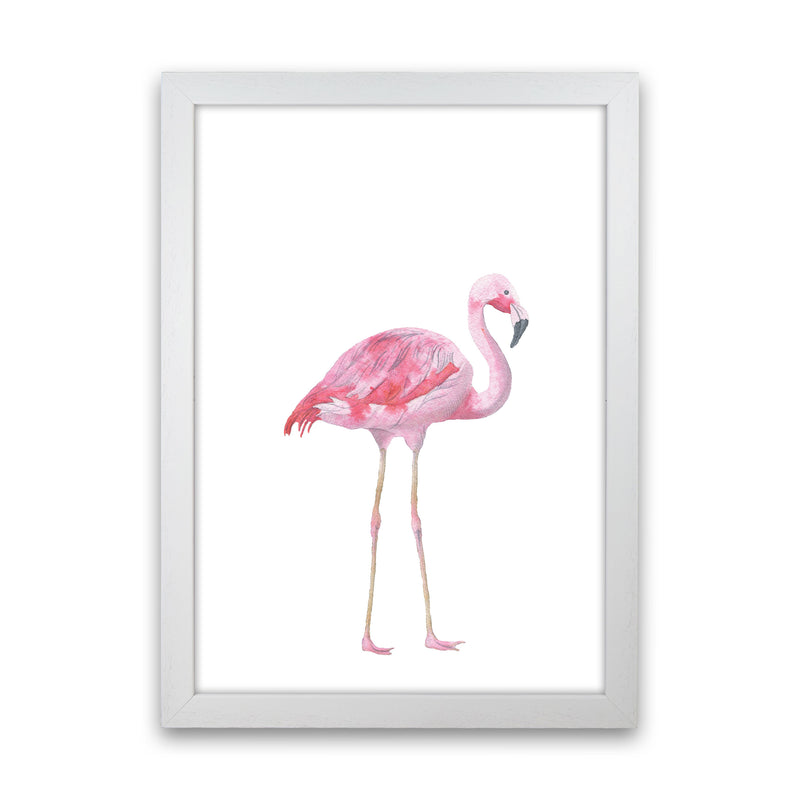Pink Flamingo Modern Print Animal Art Print White Grain