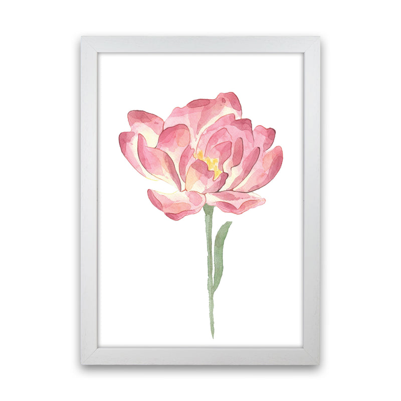 Pink Watercolour Flower Modern Print White Grain