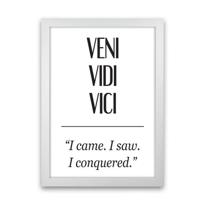Veni Vidi Vici Modern Print White Grain