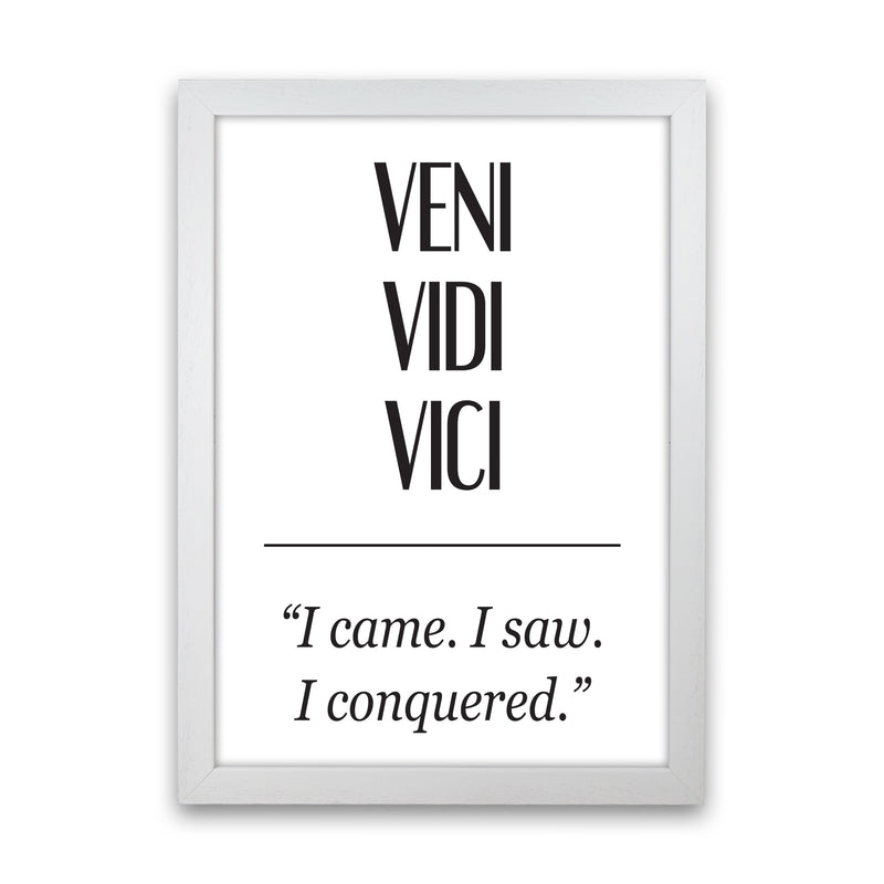 Veni Vidi Vici Modern Print White Grain