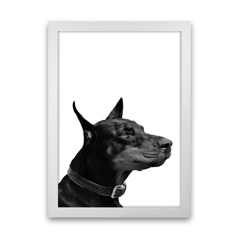 Black And White Dog Modern Print Animal Art Print White Grain