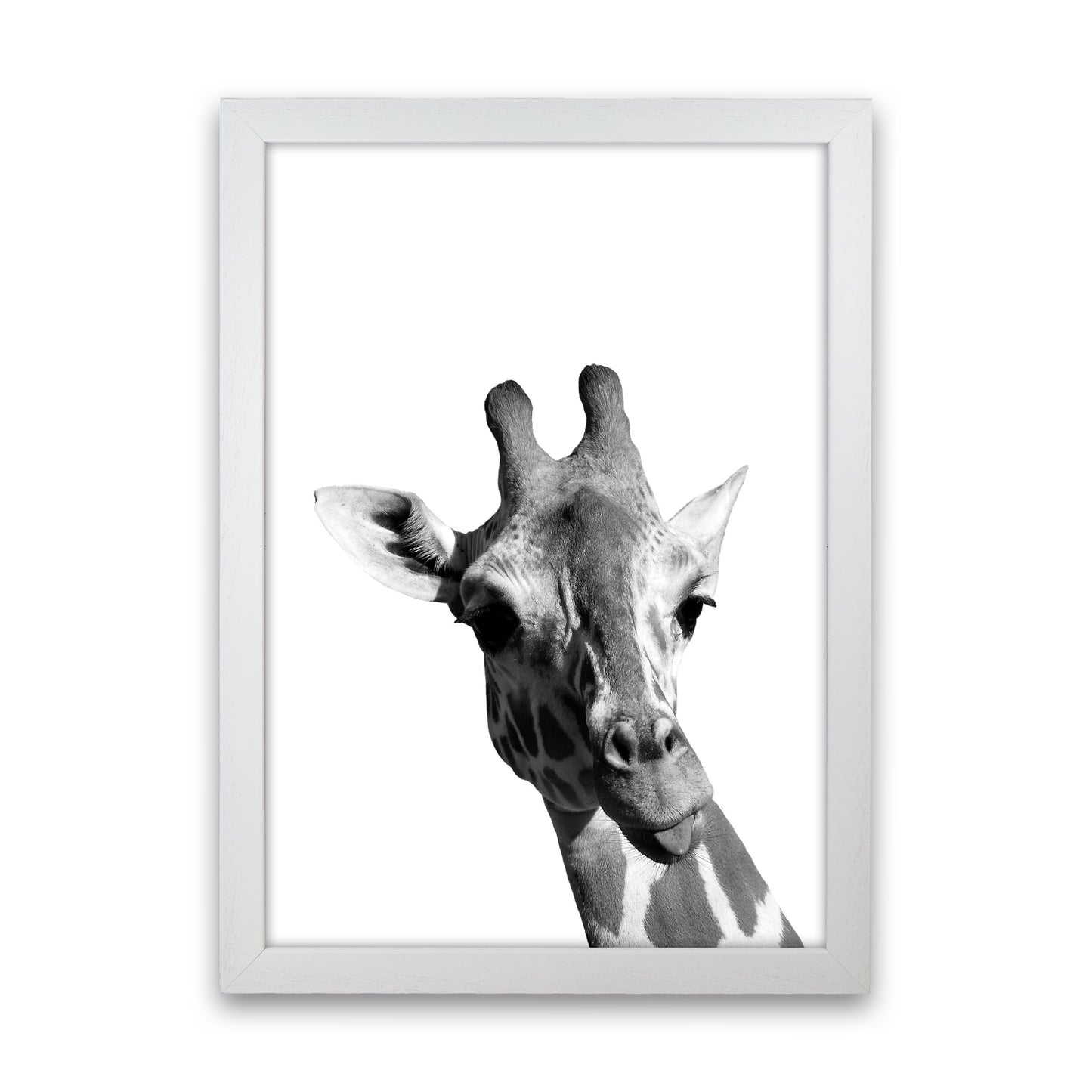 Black And White Giraffe Modern Print Animal Art Print White Grain