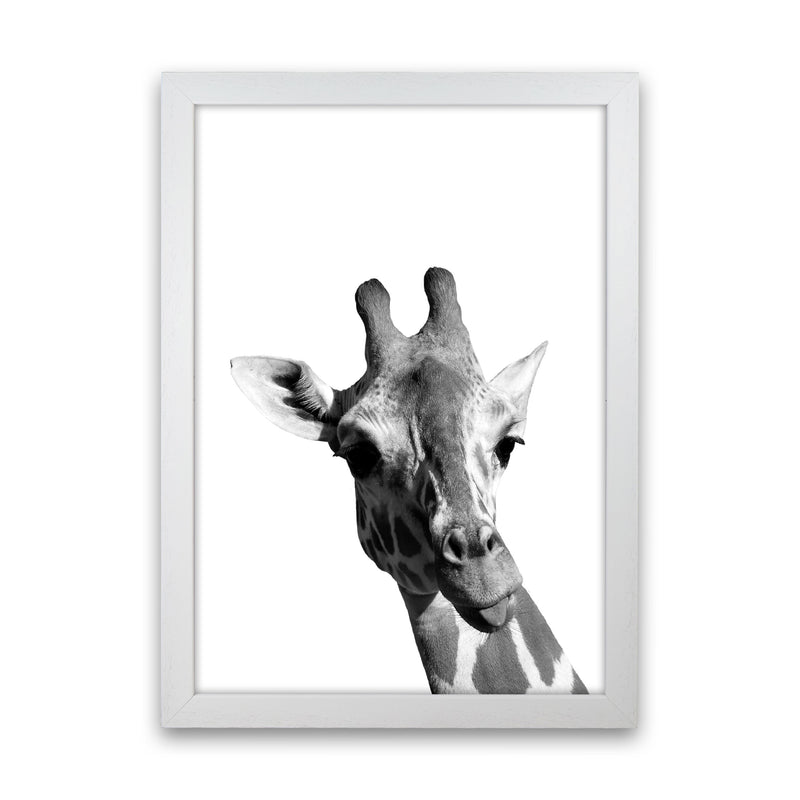 Black And White Giraffe Modern Print Animal Art Print White Grain