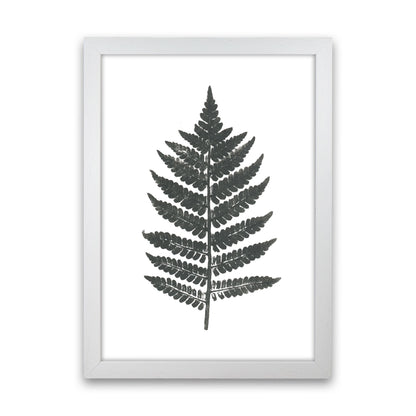 Vintage Fern Modern Print, Framed Botanical & Nature Art Print White Grain
