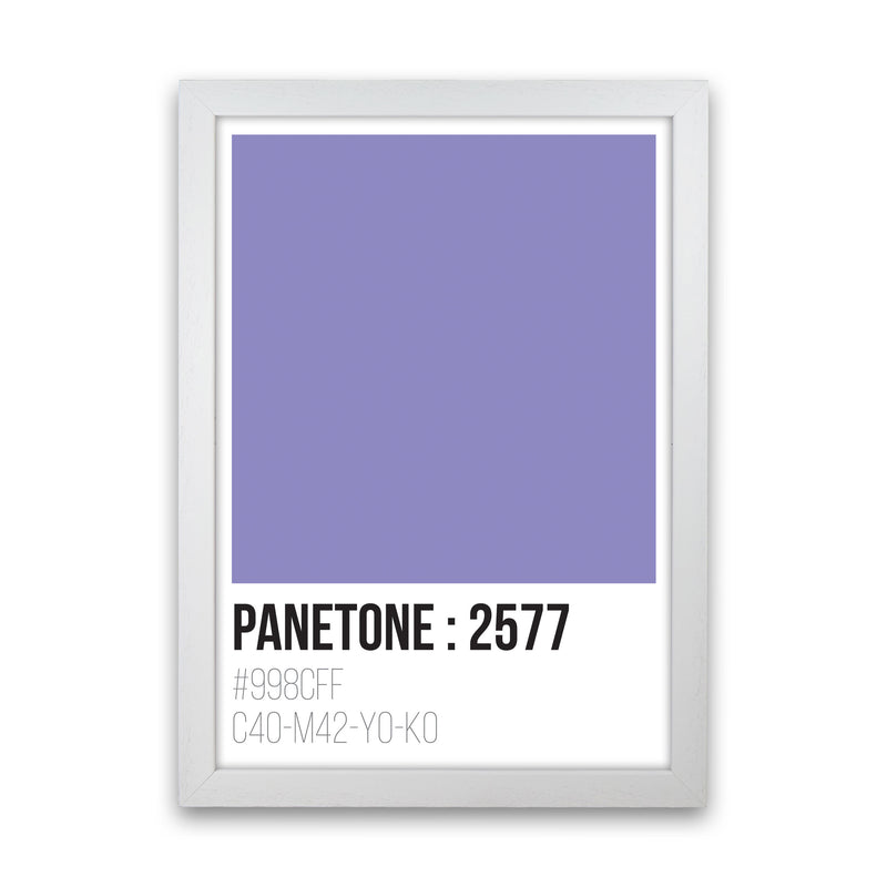 Panetone Colours 2577 Modern Print White Grain