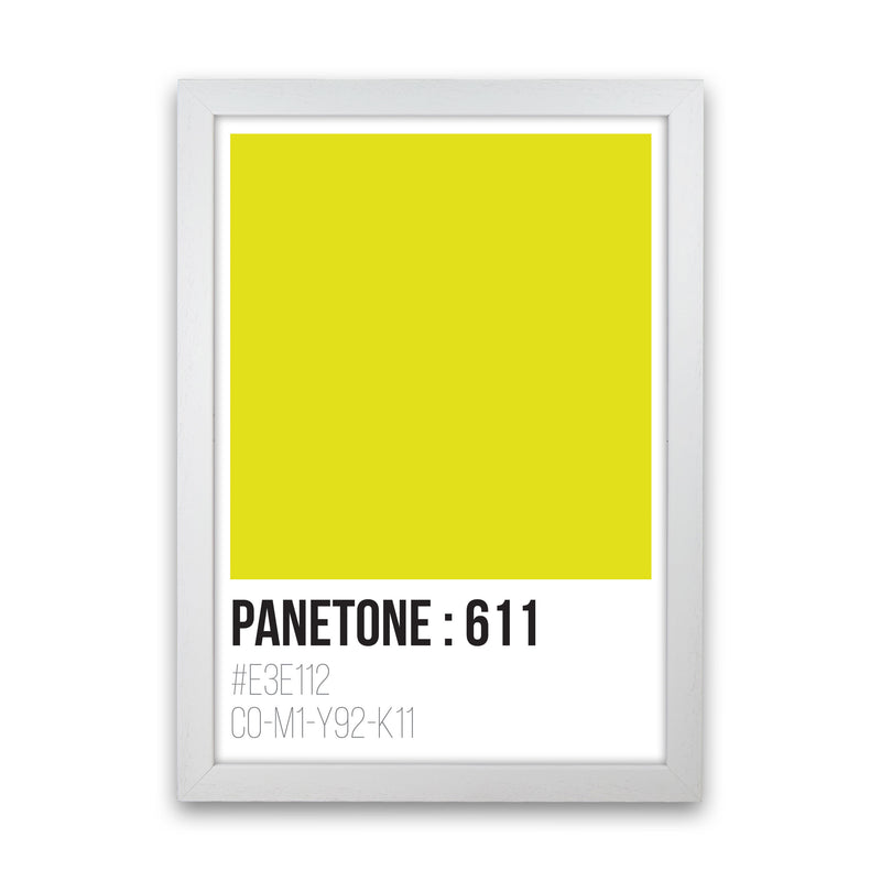 Panetone Colours 611 Modern Print White Grain