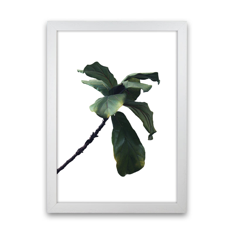 Plant Head Part Two  Art Print by Pixy Paper White Grain