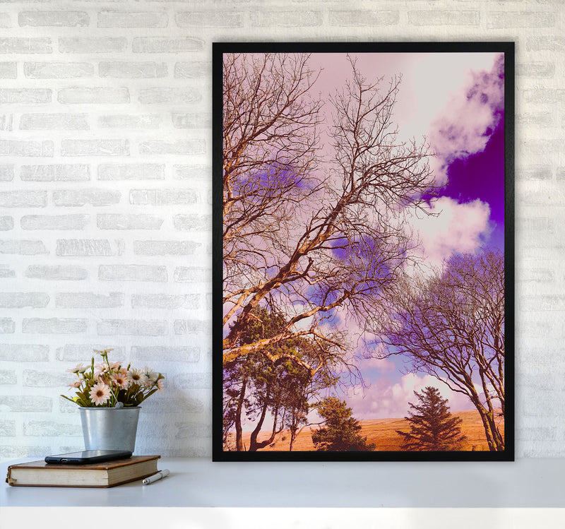 Pink Dartmoor Art Print by Proper Job Studio A1 White Frame