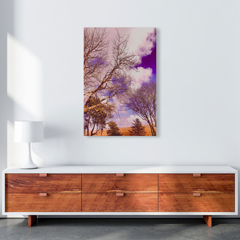 Pink Dartmoor Art Print by Proper Job Studio A1 Canvas